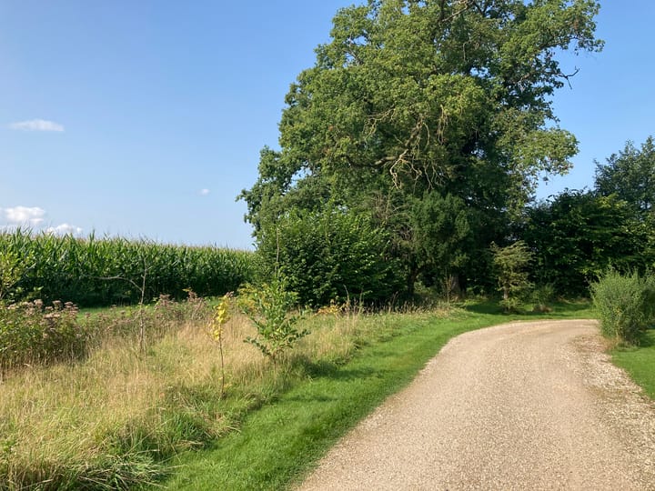 Photo 44 of Vosseveldseweg 8-16