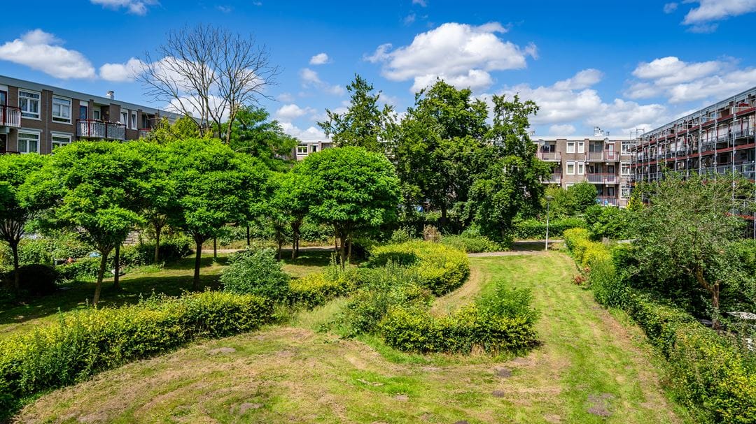 Foto 38 van Westbroekstraat 17