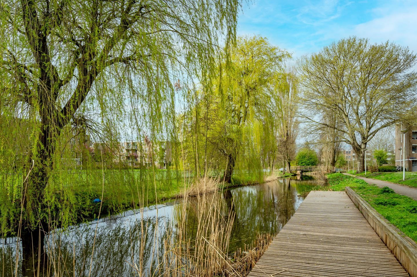 Foto 39 van Westbroekstraat 17