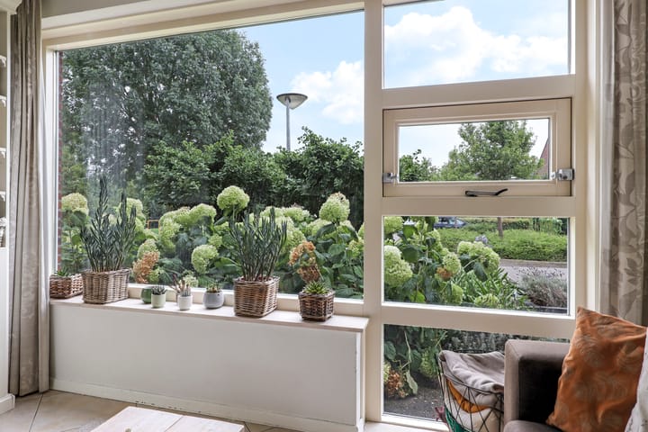 Foto 17 van Dijkgraaf 25