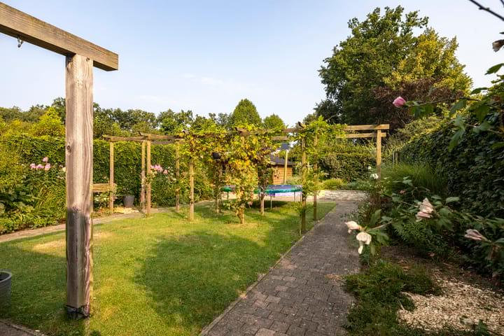 Foto 48 van Dijkgraaf 25