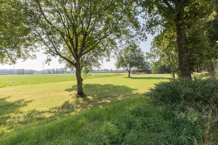 Foto 52 van Eiland 2-A