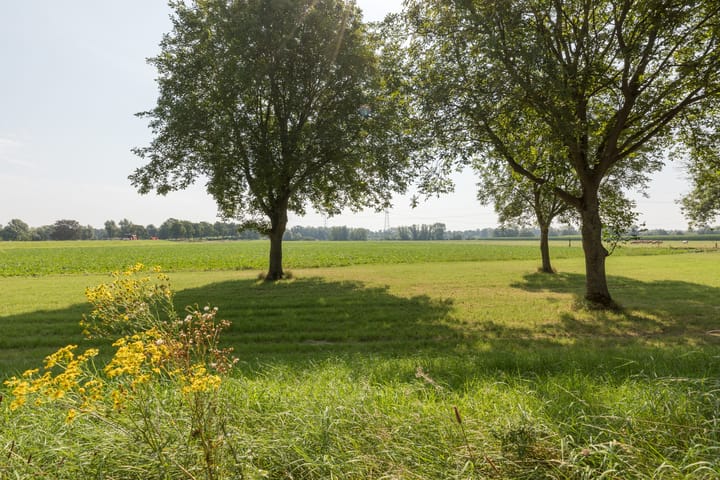 Foto 54 van Eiland 2-A