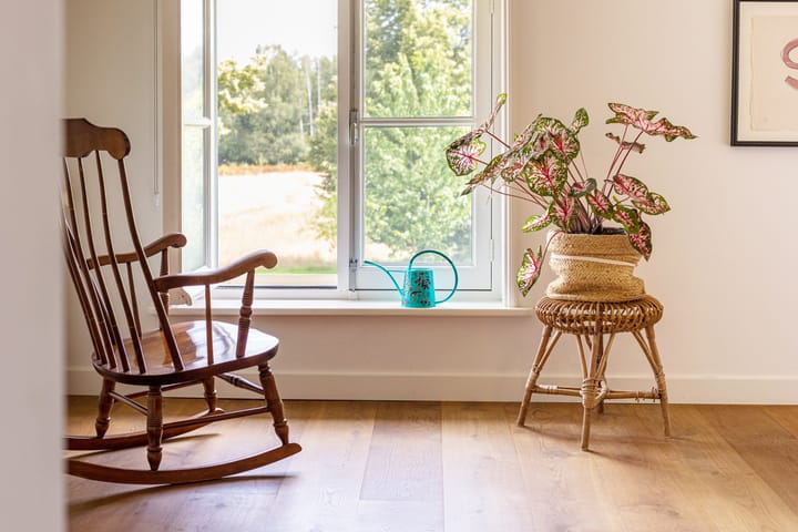 Foto 27 van Ganzekolk 3