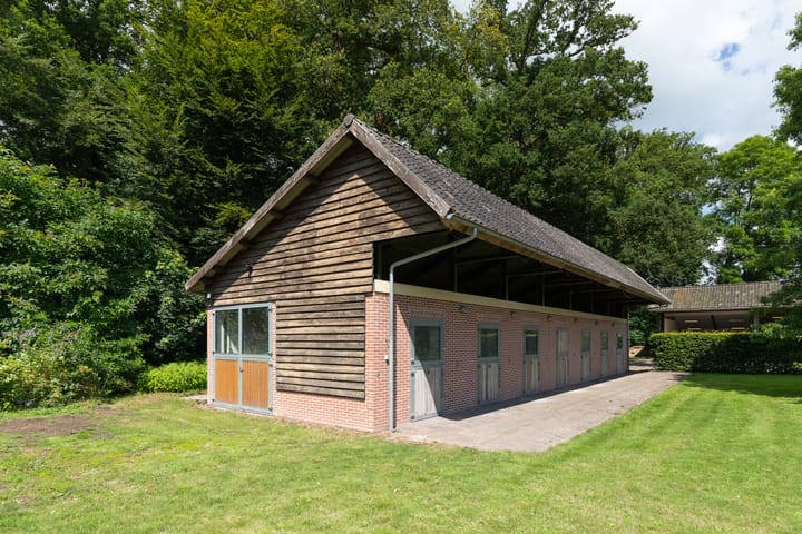 Foto 39 van Ganzekolk 3