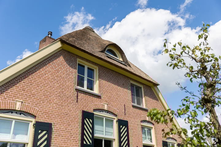 Foto 45 van Ganzekolk 3