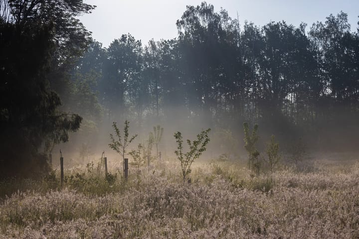 Foto 52 van Ganzekolk 3