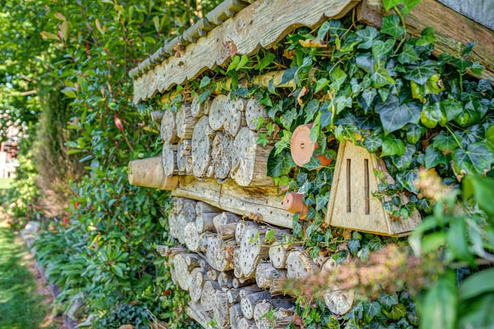 Foto 28 van Oosteinde 14