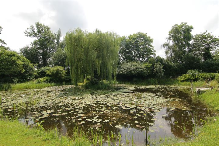 View photo 43 of Oosteinde 14