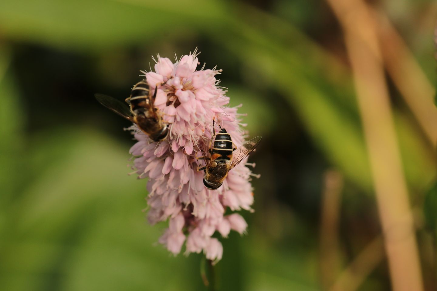 Photo 29 of Oosteinde 14