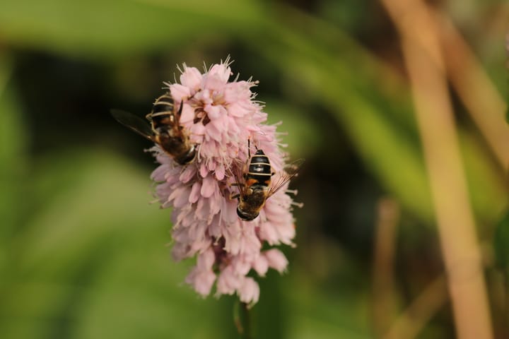 Foto 29 van Oosteinde 14