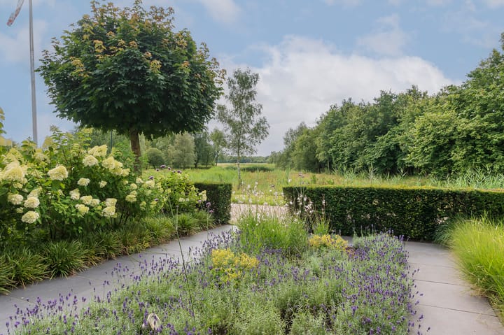 Foto 61 van Heeshoek 6