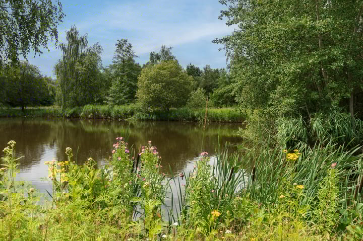 Foto 67 van Heeshoek 6