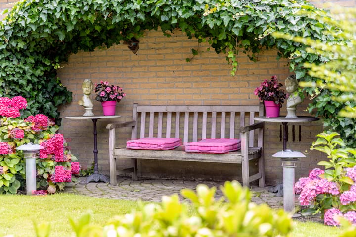 Foto 46 van Steenoven 7