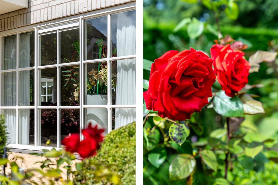 Foto 7 van Steenoven 8