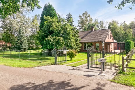 undefined main image