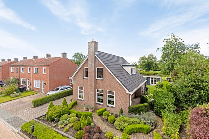 undefined main image