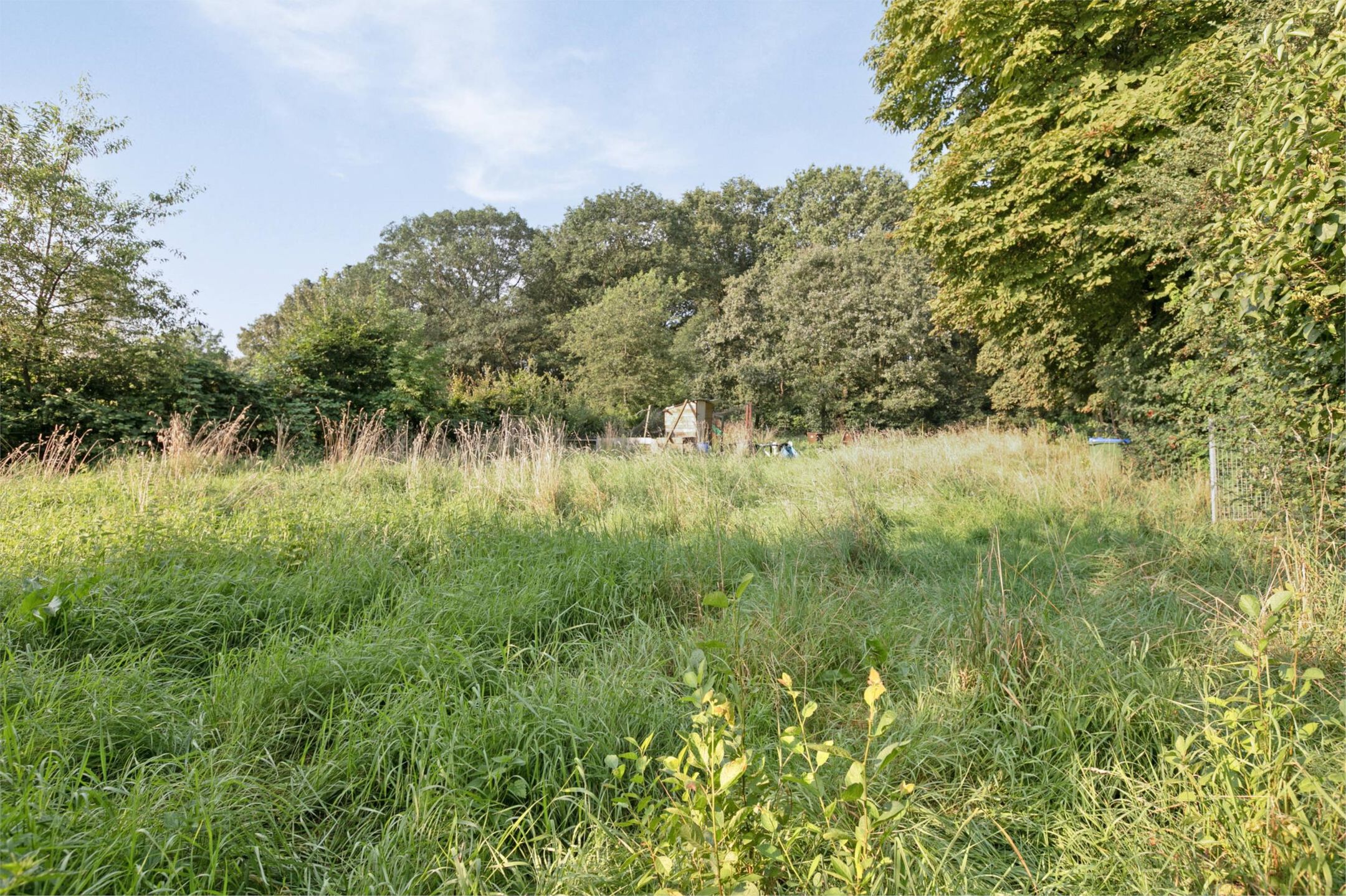 Foto 6 van Hessenweg 64