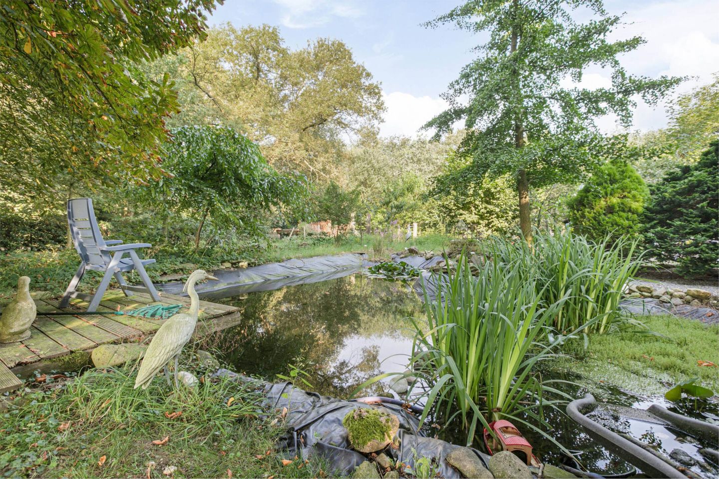 Foto 20 van Hessenweg 64