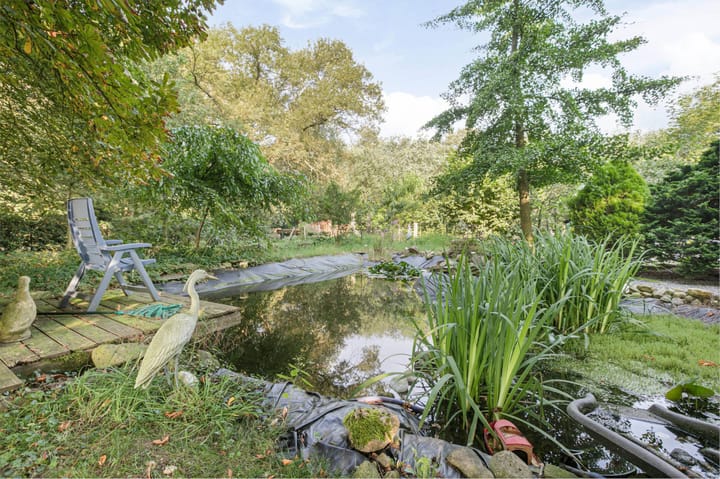 Foto 20 van Hessenweg 64