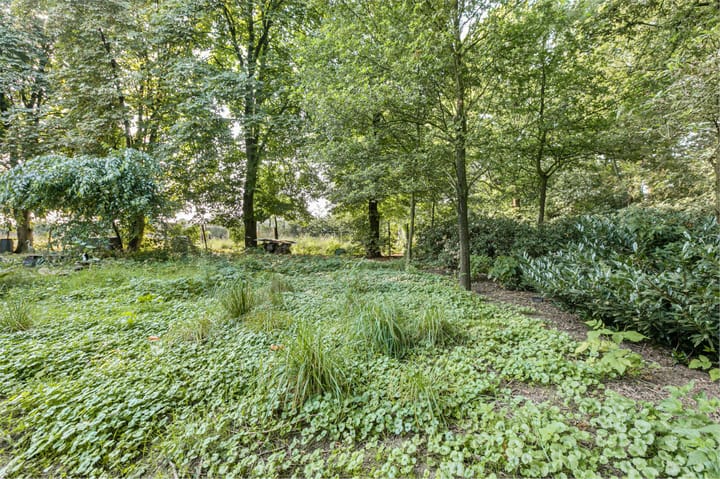 Foto 22 van Hessenweg 64