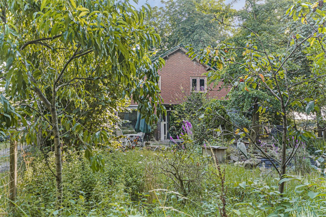 Foto 23 van Hessenweg 64