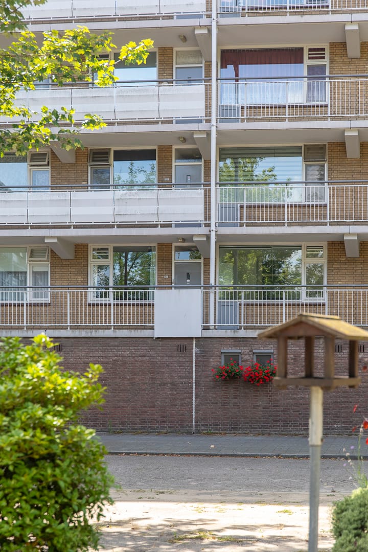 Foto 25 van Kelloggplaats 98