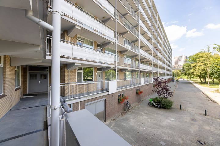 Foto 23 van Kelloggplaats 98