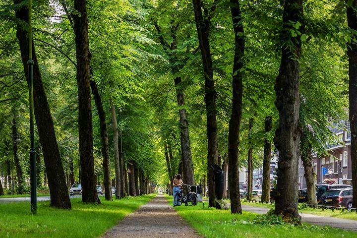 Bekijk foto 40 van Nachtegaalstraat 94-1