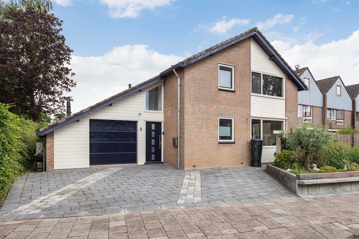 Foto 5 van De Standaard 3