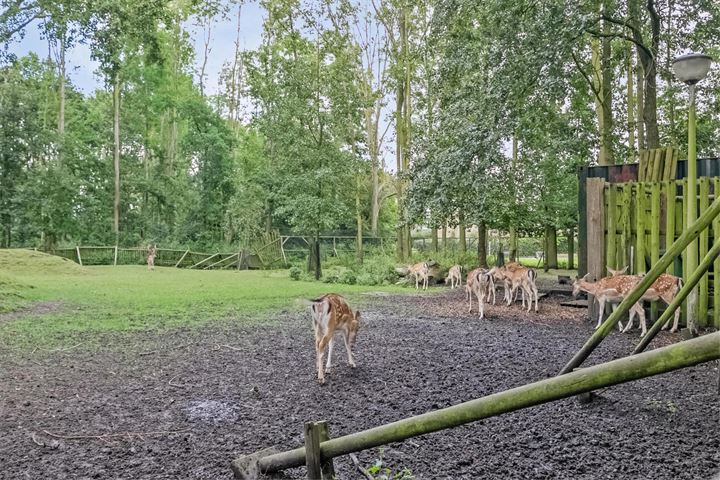 Bekijk foto 41 van van Cruiningenweg 25