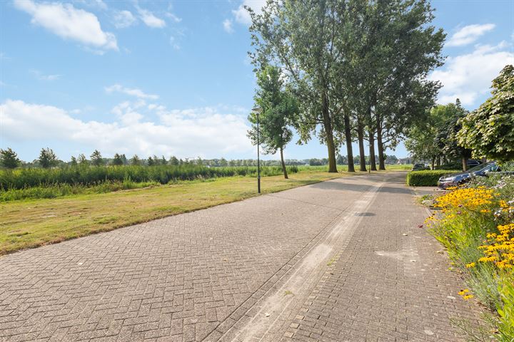 Bekijk foto 54 van Lepelbladveld 5