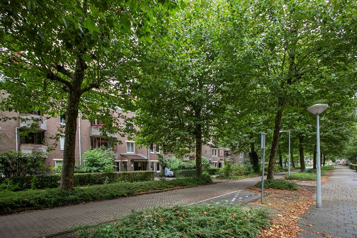 Bekijk foto 19 van Vianenstraat 144