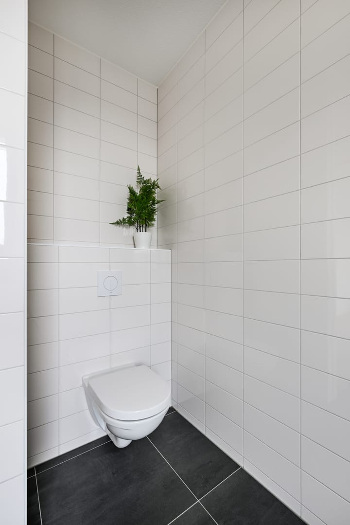 Foto 17 van Leylandstraat 17