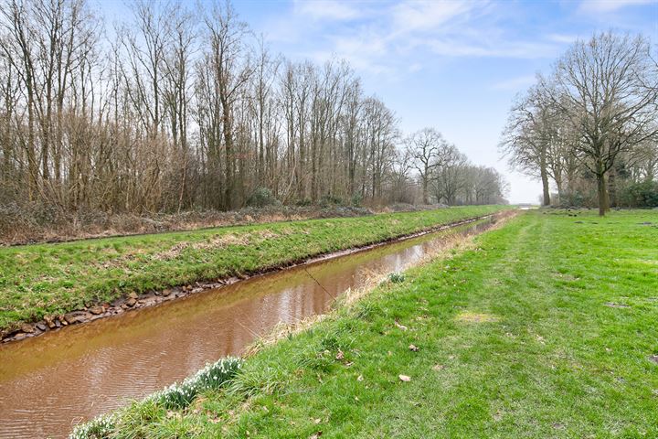 Bekijk foto 41 van Musselweg 6