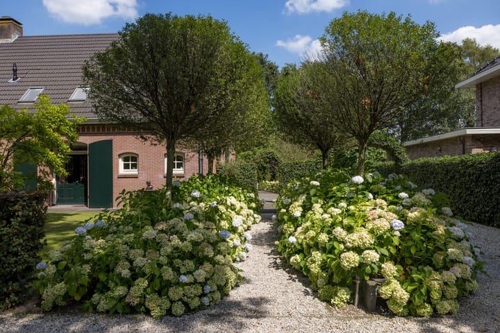 Foto 5 van Brielsedreef 34