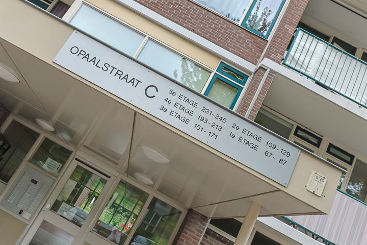 Bekijk foto 7 van Opaalstraat 81