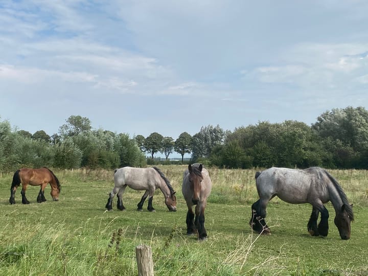 Photo 53 of Pyramide 13