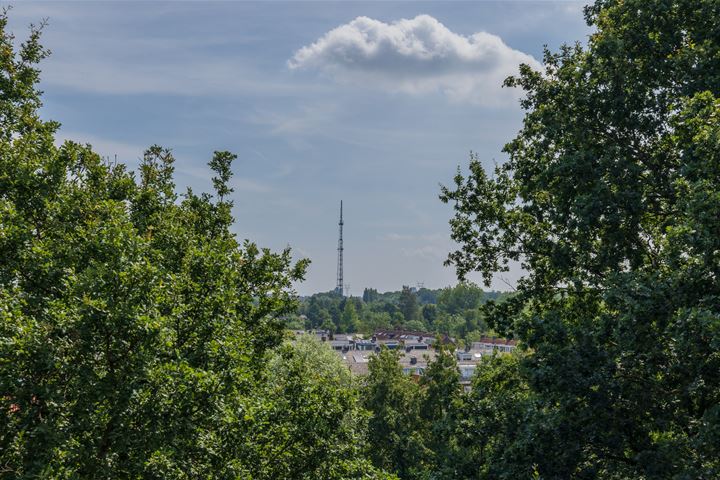 Bekijk foto 36 van Aert van Neslaan 639