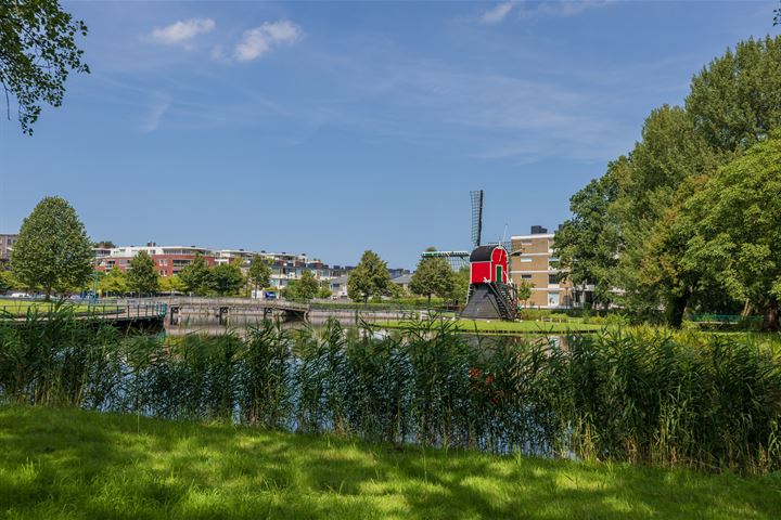 Bekijk foto 43 van Aert van Neslaan 639