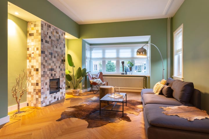 Foto 9 van Mr. van Coothstraat 40