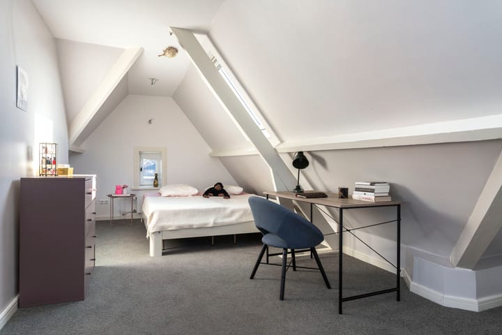 Foto 25 van Mr. van Coothstraat 40