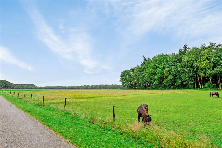 Bekijk foto 32 van Esweg 6