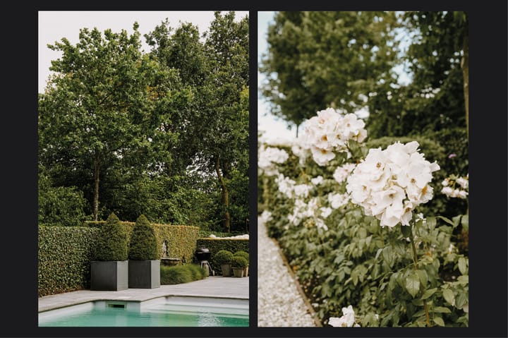 Foto 60 van Beuningen 1