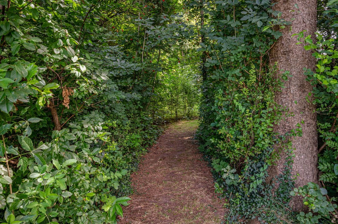 Foto 71 van Hoofdweg Wedderveer 47