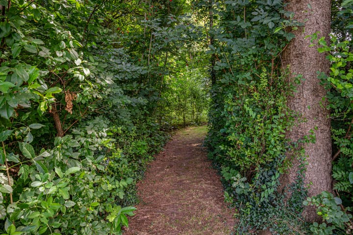 Foto 71 van Hoofdweg Wedderveer 47