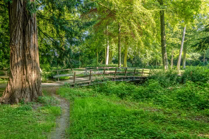 Foto 78 van Dennenlaan 21