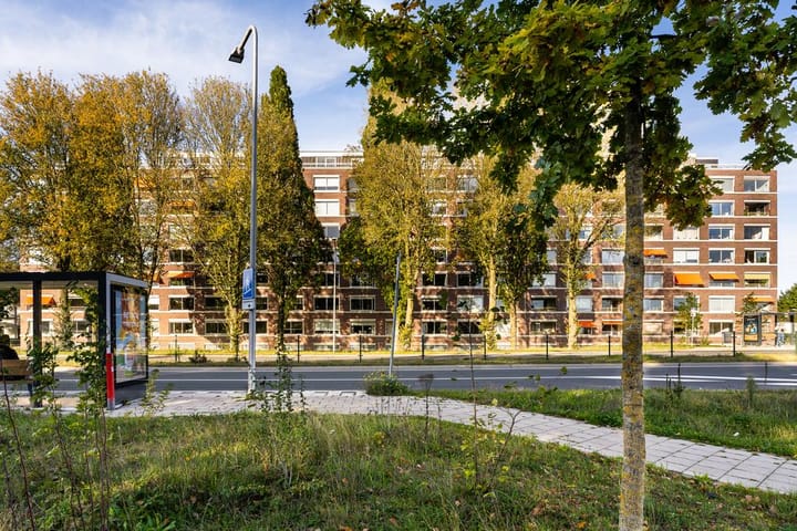 Foto 2 van Biltstein 142