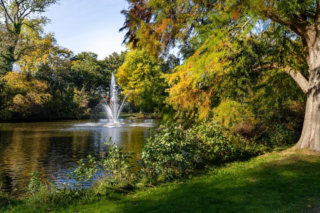 Photo 29 of Biltstein 142