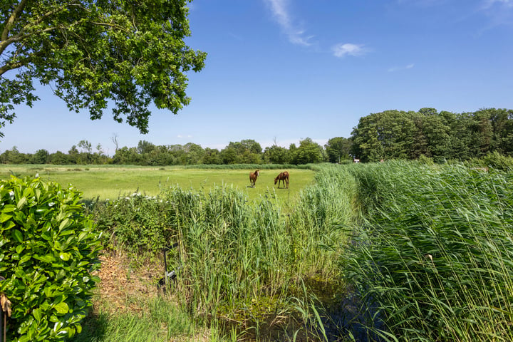 Bekijk foto 37 van Oud Emmeloorderweg 21-D